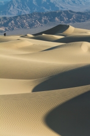 131125_Mesquite-Dunes